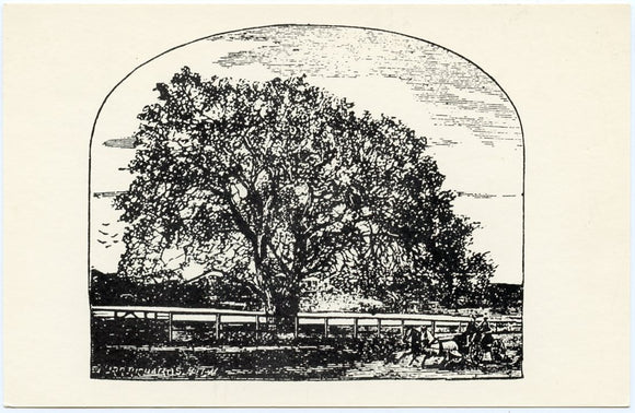 The Council Tree, Near Riverside Park, Neenah, WI - Carey's Emporium