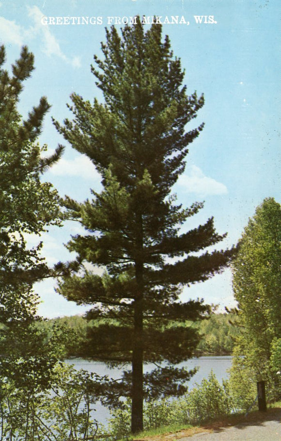 Greetings from Mikana, WI - Carey's Emporium