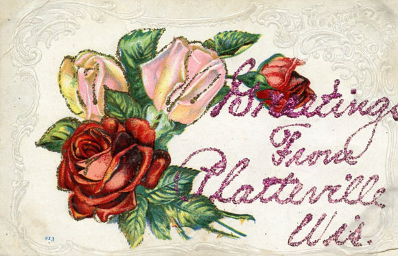 Greetings from Platteville, WI - Carey's Emporium