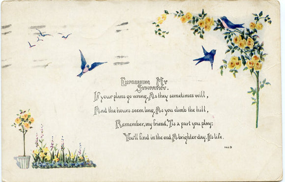 Expressing My Sympathy - Carey's Emporium