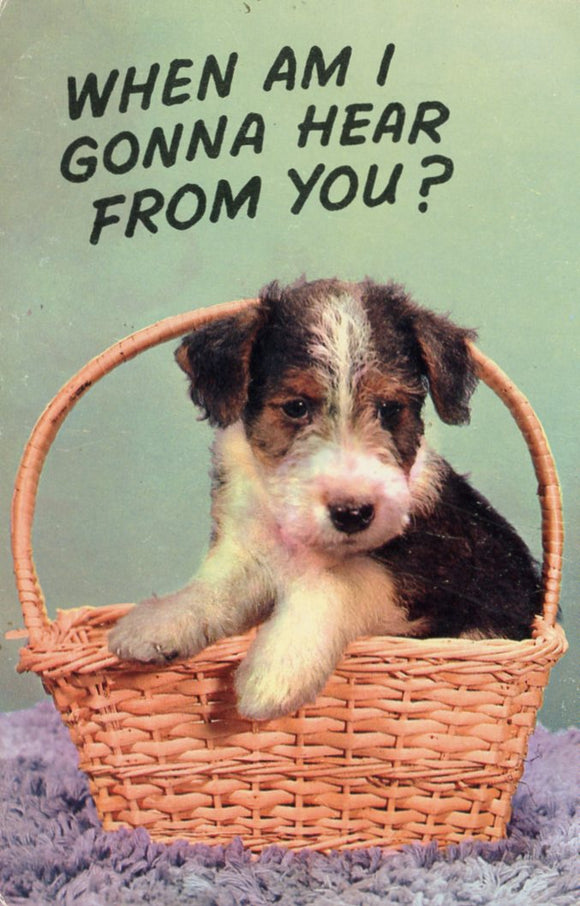 When Am I Gonna Hear From You? - Carey's Emporium