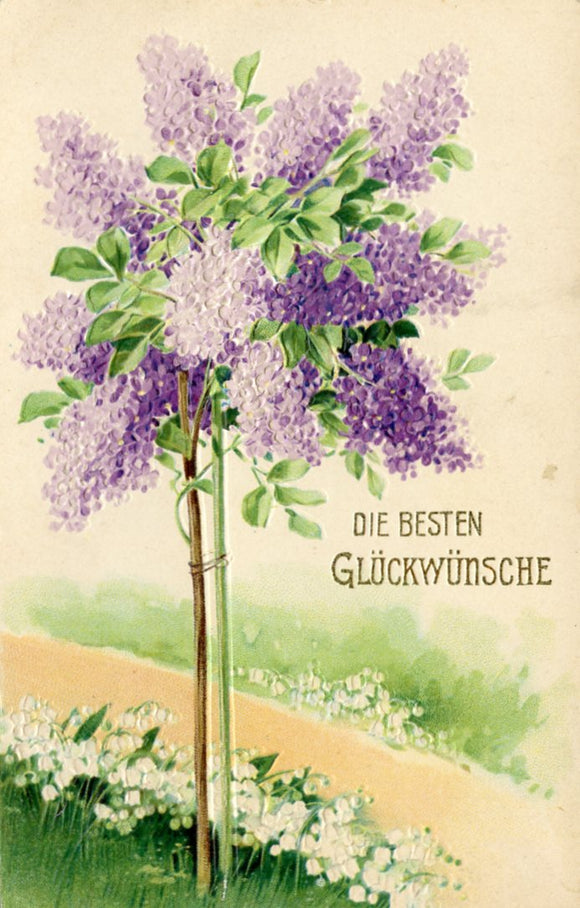 Die Besten Gluckwunsche - Carey's Emporium