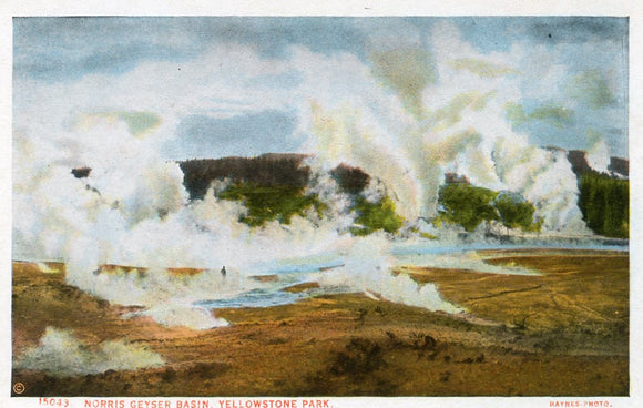 Norris Geyser Basin, Yellowstone Park - Carey's Emporium