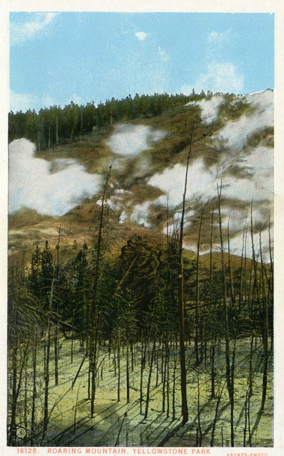 Roaring Mountain, Yellowstone Park - Carey's Emporium