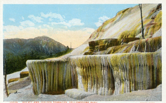 Pulpit and Jupiter Terraces, Yellowstone Park - Carey's Emporium