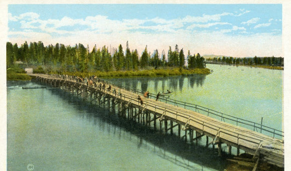 Fishing Bridge, Lake Outlet, Yellowstone Park - Carey's Emporium