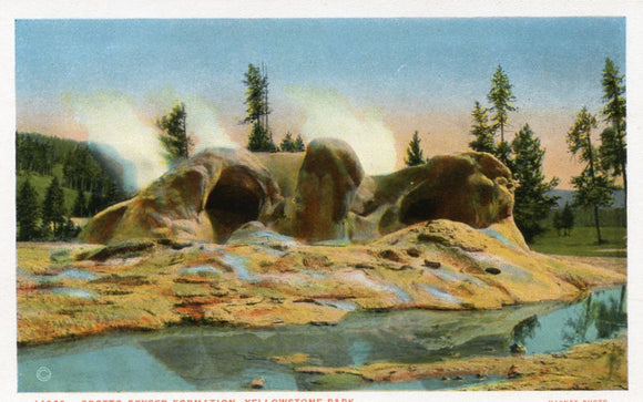 Grotto Geyser Formation, Yellowstone Park - Carey's Emporium