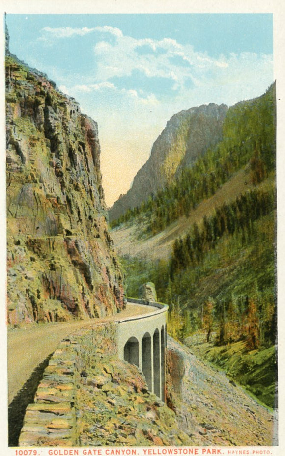 Golden Gate Canyon, Yellowstone Park - Carey's Emporium