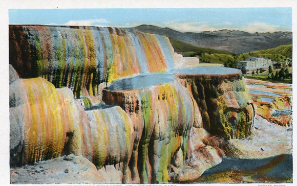 Mammoth Hot Springs Terraces, Yellowstone Park - Carey's Emporium