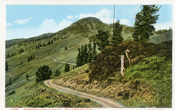 Dunraven Pass, 8,859 ft., Yellowstone Park - Carey's Emporium
