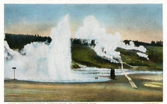 Constant Geyser, Norris Basin, Yellowstone Park - Carey's Emporium