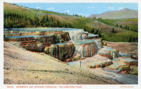 Mammoth Hot Springs Terraces, Yellowstone Park - Carey's Emporium