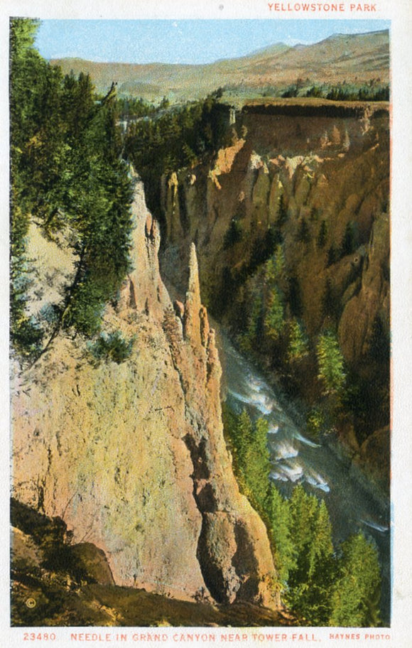 Needle in Grand Canyon Near Tower-Fall, Yellowstone Park - Carey's Emporium