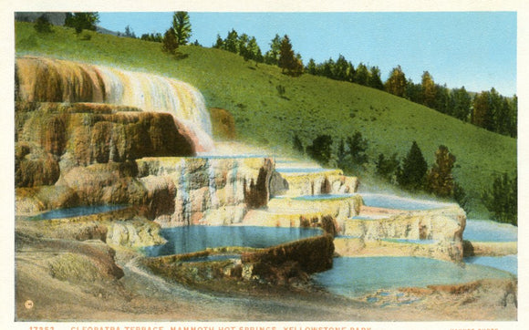 Cleopatra Terrace, Mammoth Hot Springs, Yellowstone Park - Carey's Emporium