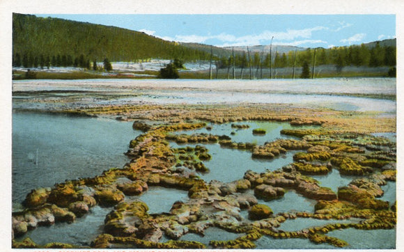 Sapphire Pool and Biscuit Basin, Yellowstone Park - Carey's Emporium