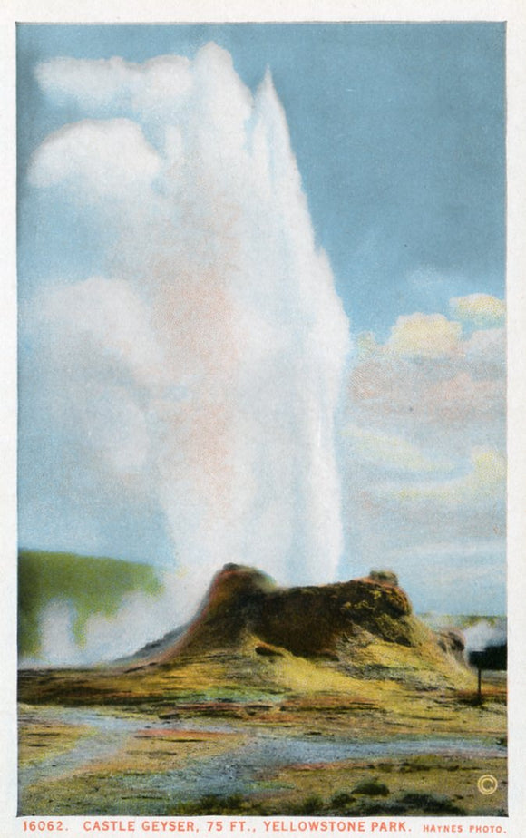Castle Geyser, 75 ft., Yellowstone Park - Carey's Emporium