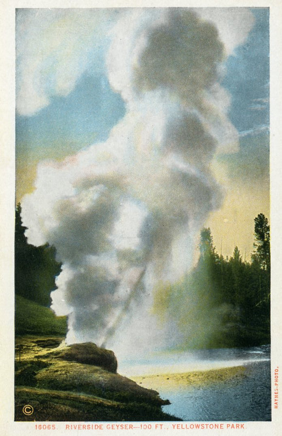 Riverside Geyser, 200 ft., Yellowstone Park - Carey's Emporium