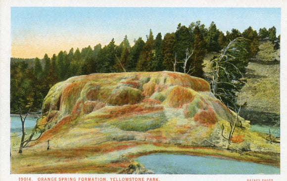 Orange Spring Formation, Yellowstone Park - Carey's Emporium