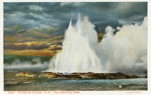 Fountain Geyser, 75 ft., Yellowstone Park - Carey's Emporium