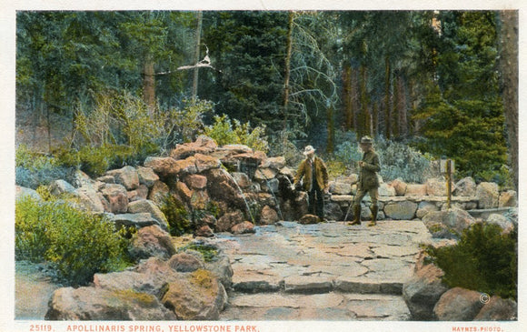 Apollinaris Spring, Yellowstone Park - Carey's Emporium