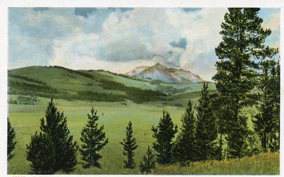 Electric Peak, 11,155 ft., Yellowstone Park - Carey's Emporium