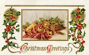 Christmas Greetings - Carey's Emporium