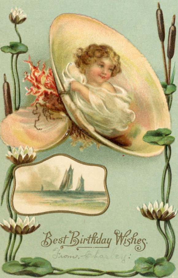 Best Birthday Wishes - Carey's Emporium