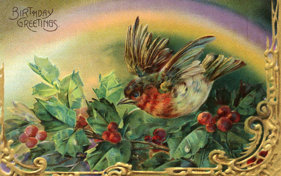 Birthday Greetings - Carey's Emporium