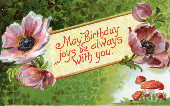 May Birthday joys be always With you - Carey's Emporium