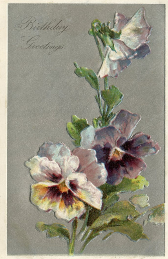 Birthday Greetings - Carey's Emporium