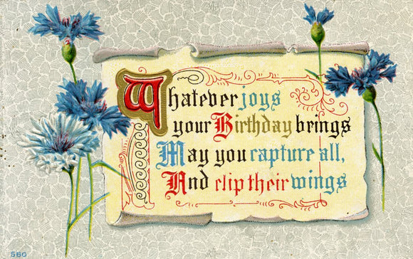 Whatever joys your Birthday brings, May you capture all, And clip their wings - Carey's Emporium