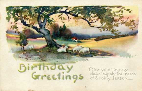Birthday Greetings - Carey's Emporium