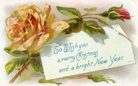 To Wish you a merry Christmas and a bright New Year - Carey's Emporium