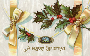 A Merry Christmas - Carey's Emporium