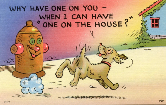 Why Have One on You, When I Can Have One on the House? - Carey's Emporium