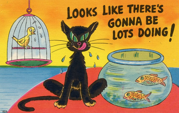 Looks Like There's Gonna be Lots Doing! - Carey's Emporium