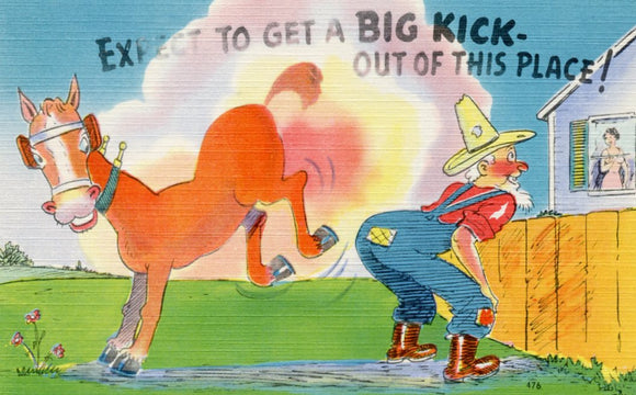 Expect to Get a Big Kick Out of This Place - Carey's Emporium