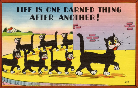 Life is One Darned Thing After Another! - Carey's Emporium