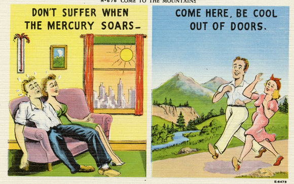 Come to the Mountains, Don't Suffer When the Mercury Soars, Come Here, be Cool out of Doors - Carey's Emporium