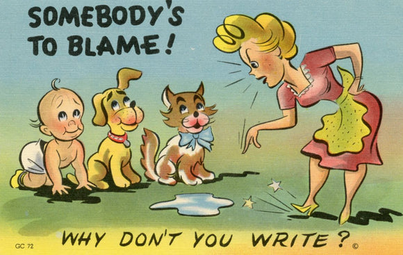Somebody's to Blame! Why Don't You Write? - Carey's Emporium