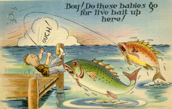 Boy! Do These Babies Go For Live Bait Up Here! - Carey's Emporium