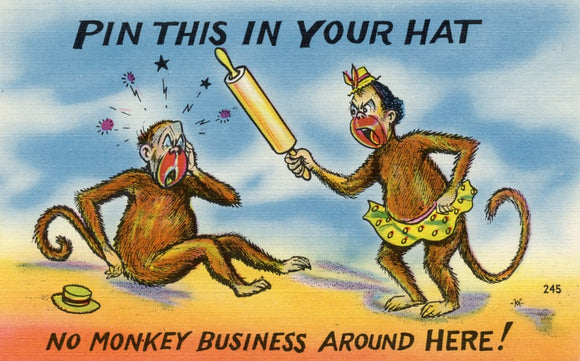 Pin This in Your Hat, No Monkey Business Around Here! - Carey's Emporium