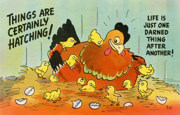 Things are Certainly Hatching! Life is Just One Darned Thing After Another! - Carey's Emporium