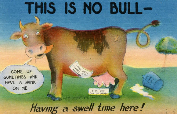 This is No Bull, Having a Swell Time Here! - Carey's Emporium