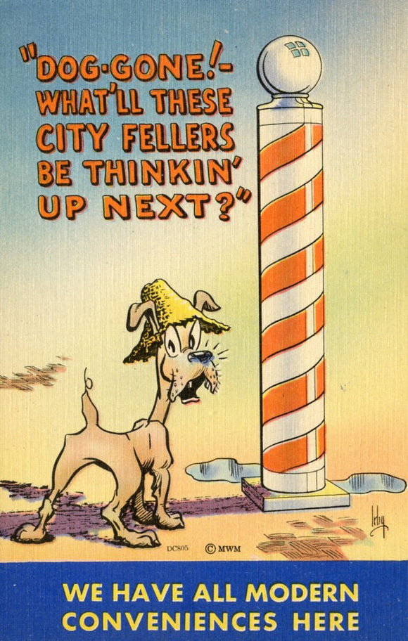 Dog-Gone! What'll These City Fellers Be Thinkin' up Next? - Carey's Emporium