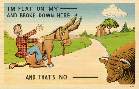 I'm Flat on my Ass and Broke Down Here, and That's no Bull - Carey's Emporium