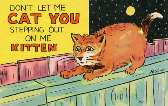 Don't Let Me Cat You Stepping Out on Me Kitten - Carey's Emporium