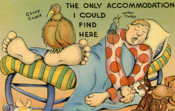 The Only Accommodation I Could Find Here - Carey's Emporium