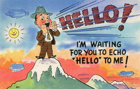 Hello! I'm Waiting for You to Echo Hello to Me! - Carey's Emporium