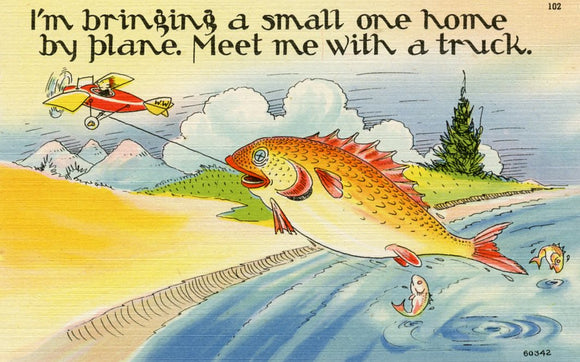 I'm Bringing a Small One Home by Plane, Meet Me with a Truck - Carey's Emporium